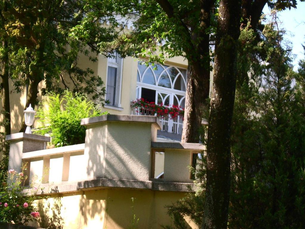 Sir David Balaton Castle Chalet *