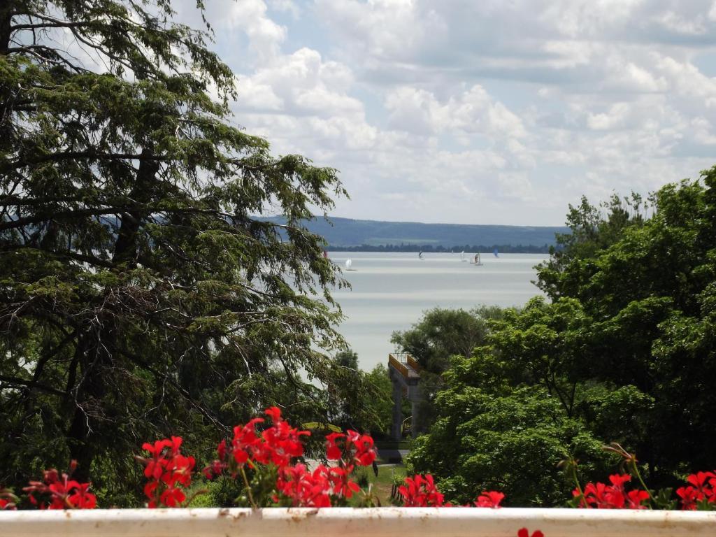 Chaletu Sir David Balaton Castle *