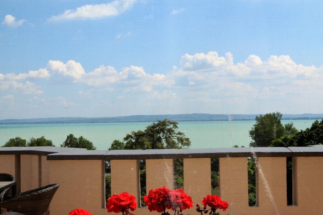 Sir David Balaton Castle Chaletu