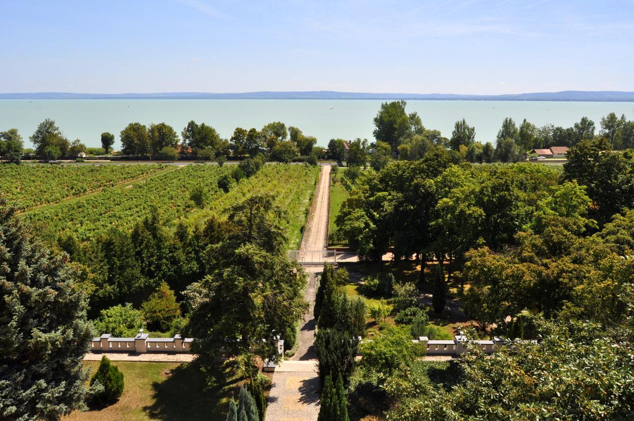 Sir David Balaton Castle * Balatonszepezd